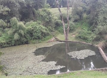 kenya/mount-longonot/attraction/gichiengo-dam