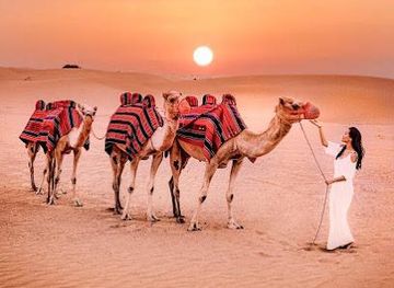 united-arab-emirates/ajman/attraction/clifton-tours