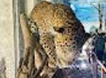 sri-lanka/kandy/attraction/zoo-museum