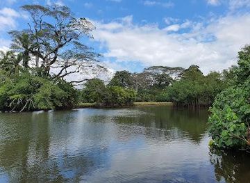 costa-rica/jaco/attraction/esterillos-este