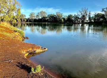 australia/riverland/attraction/lions-park