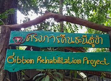 thailand/phuket/attraction/bang-pae-waterfall