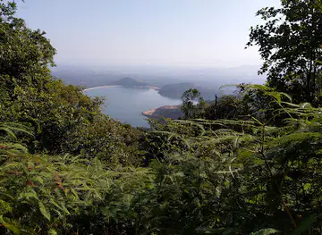 Cherok Tokun Nature Park (National forest)