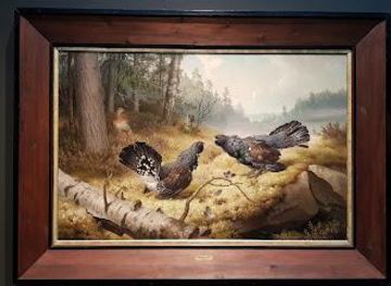 finland/helsinki/attraction/finnish-national-gallery