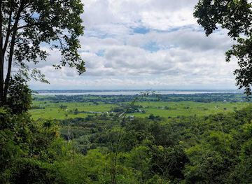 thailand/phi-pan-nam-range/attraction/wat-analayothipyaram-luang-pu-phaibun
