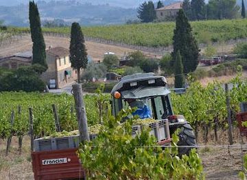 italy/san-gimignano/attraction/azienda-agricola-san-quirico
