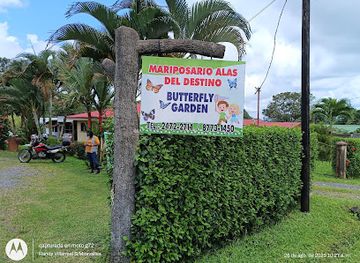 costa-rica/san-carlos/attraction/mariposario-alas-del-destino-butterfly-garden