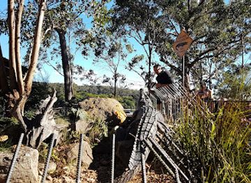 australia/jervis-bay/attraction/treetops-adventure-nowra