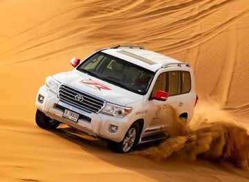 united-arab-emirates/ajman/attraction/raptor-tourism