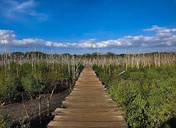 costa-rica/playa-flamingo/attraction/playa-avellana
