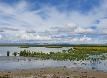mongolia/dzungarian-basin/attraction/sangiin-dalai-lake