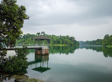 singapore/macritchie-reservoir/attraction/lornie-trail