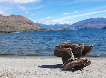 new-zealand/wanaka/attraction/thatwanakastump