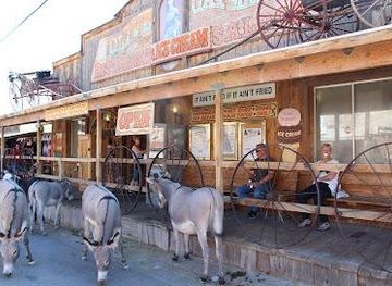 arizona/kingman/attraction/oatman