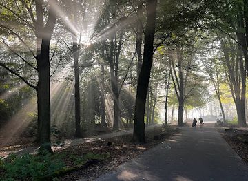 netherlands/eindhoven/attraction/benkske-van-berdien