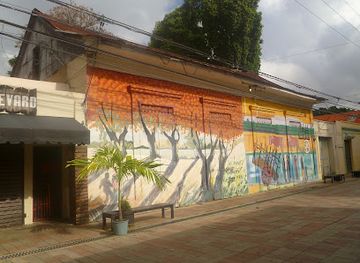 dominican-republic/cibao-valley/attraction/casa-de-arte