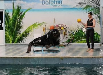 bahrain/al-areen-wildlife-park/attraction/marina-beach-garden-park