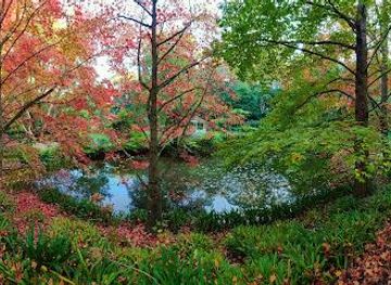 australia/central-coast/attraction/firescreek-botanical-winery