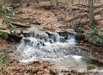 pennsylvania/allegheny-national-forest/attraction/linn-run-state-park