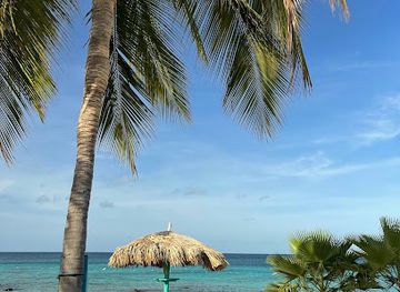 aruba/eagle-beach/attraction/isla-aruba-tours