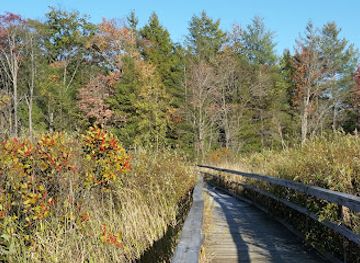 michigan/pere-marquette-state-forest/attraction/heritage-nature-trail