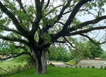italy/irpinia/attraction/quercia-di-san-vito