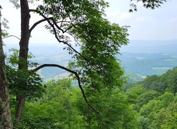 virginia/mount-rogers-national-recreation-area/attraction/back-of-the-dragon-marion