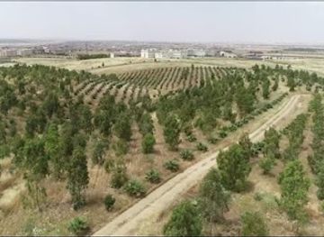 iraq/kalar/attraction/hazhar-artificial-forest