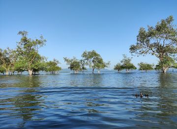 bangladesh/saint-martin-s-island/attraction/shahpori-beach