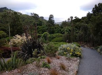 new-zealand/wellington/attraction/otari-wilton-s-bush