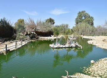 israel/negev/attraction/negev-zoo