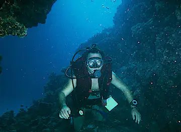 Coral Resort Nuweiba House Reef Diving Site
