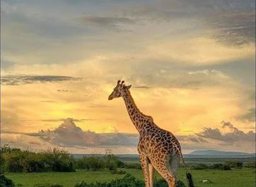 tanzania/kilimanjaro-region/attraction/climb-4-africa-best-tour-company-in-tanzania-kilimanjaro-tour-operator-zanzibar-holiday-packages-serengeti-safaris-2024