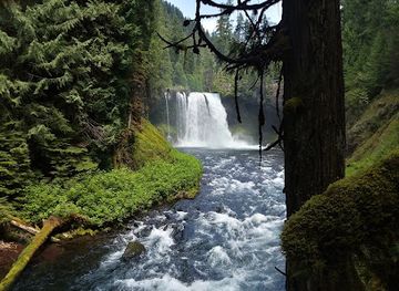 Willamette National Forest