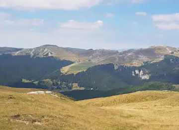 Plaiul lui Păcală