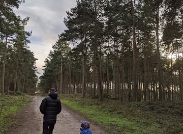 united-kingdom/lincolnshire/attraction/ostler-s-plantation