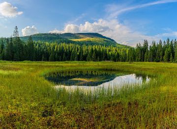 romania/bihor-mountains/attraction/the-spring-peat-bogs