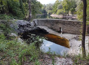 florida/suwannee-river/attraction/suwannee-springs