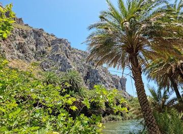 greece/rethymno/attraction/preveli-palm-forest
