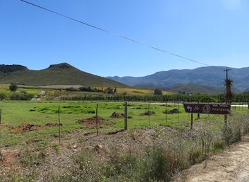 south-africa/breede-river-valley/attraction/platform-62-wine-experience