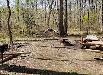 delaware/the-dover-metropolitan-area/attraction/blackbird-state-forest