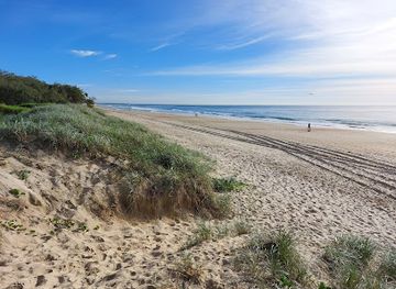 australia/gold-coast/main-beach/attraction/federation-walk-coastal-reserve