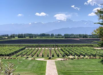 argentina/cuyo/attraction/bodegas-norton