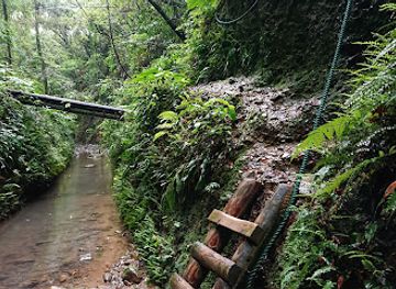 japan/shikoku-island/attraction/ioki-cave