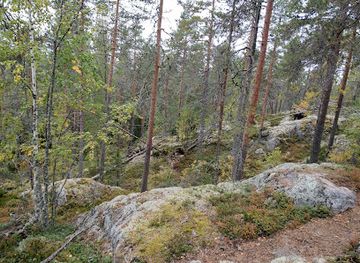 finland/savonlinna/attraction/soininmaki