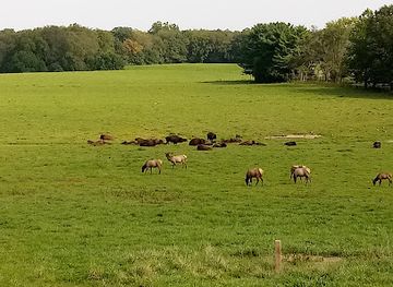 illinois/prairie-state/attraction/wildlife-prairie-park