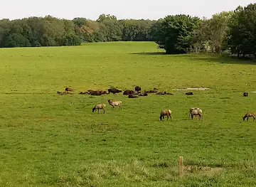 Wildlife Prairie Park