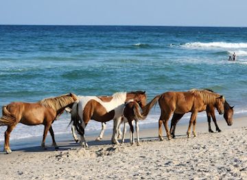 Assateague Island National Seashore