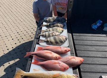 florida/pensacola/attraction/blue-water-charters-llc