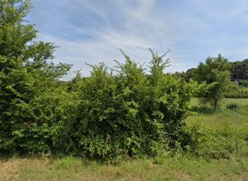 croatia/rovinj/attraction/sid-s-place